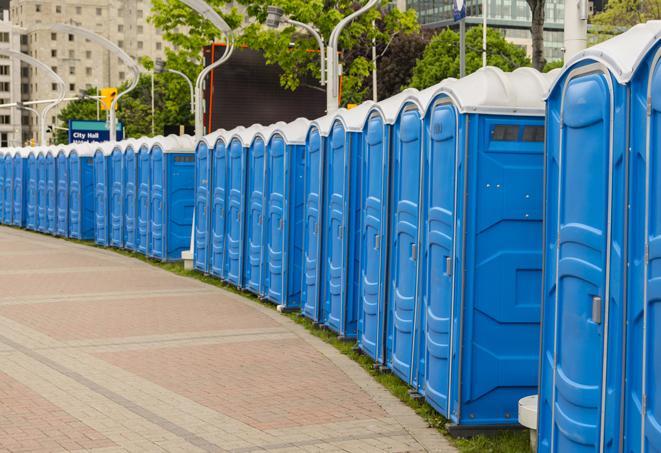 a fleet of portable restrooms ready for use at a large outdoor wedding or celebration in Birch Run